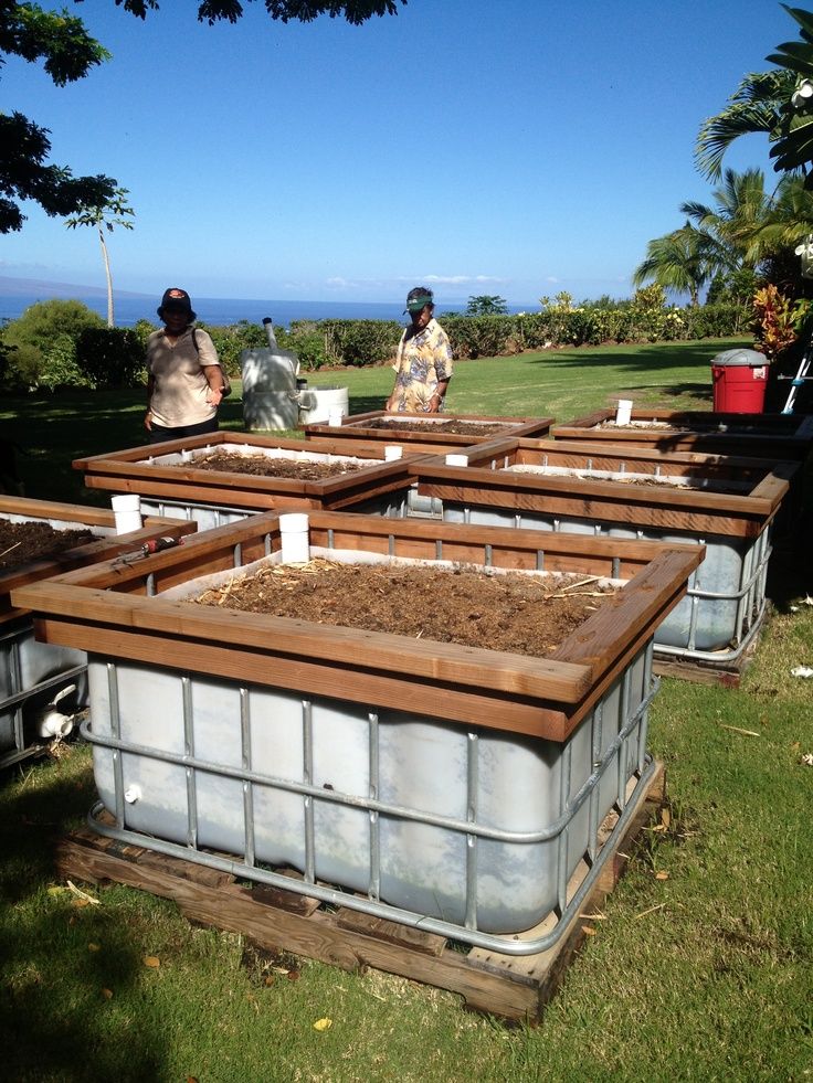 Raised Garden Beds Layout Maximizing your Garden Space with Strategic Planting Arrangements