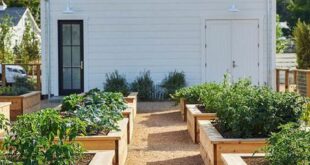 Raised Garden Beds