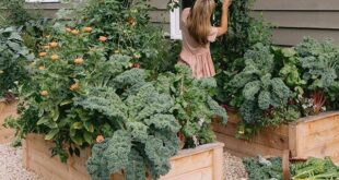 Raised Garden Beds