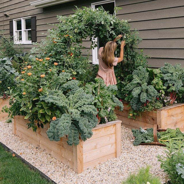 Raised Garden Beds The Benefits of Growing Plants in Elevated Garden Containers