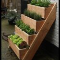 Raised Garden Beds