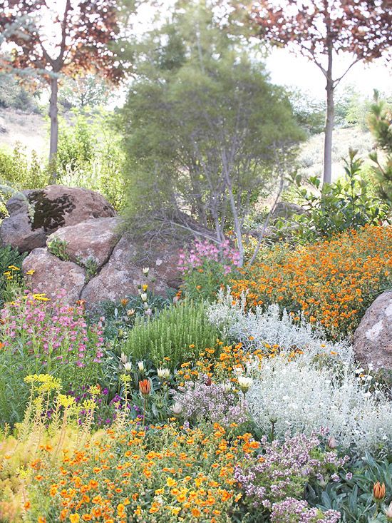 Rock Garden Creating a Serene Oasis in Your Outdoor Space