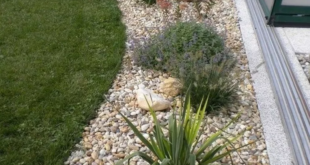 Rock Garden Landscaping