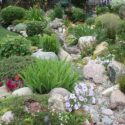 Rock Garden Landscaping