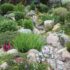 Rock Garden Landscaping