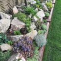 Rock Garden Landscaping