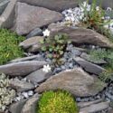 Rock Garden Landscaping