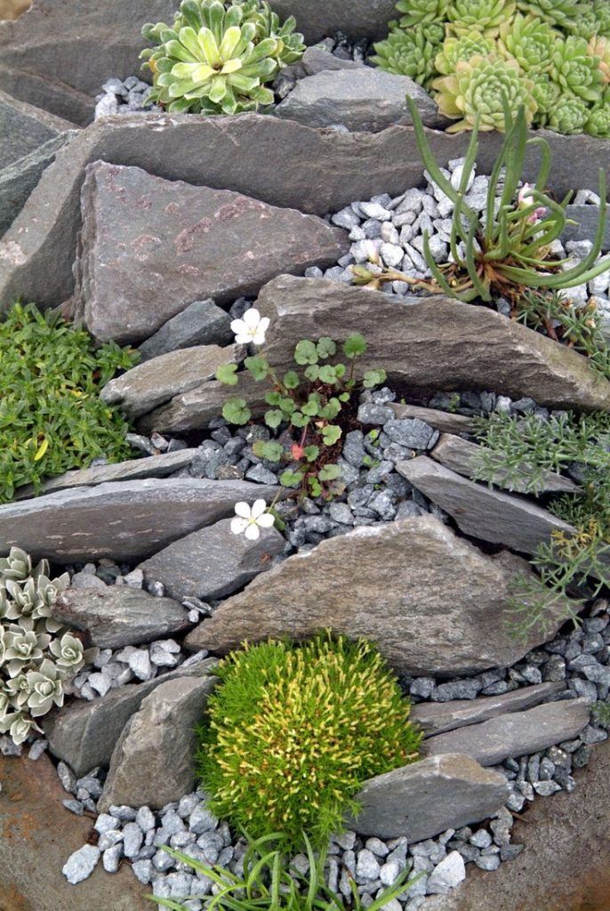 Rock Garden Landscaping