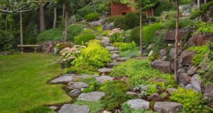 Rock Garden