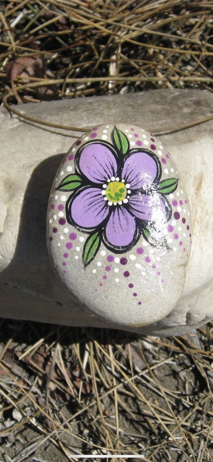Rock Painting Flowers: A Creative Way to Add Color to Your Garden