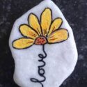 Rock Painting Flowers