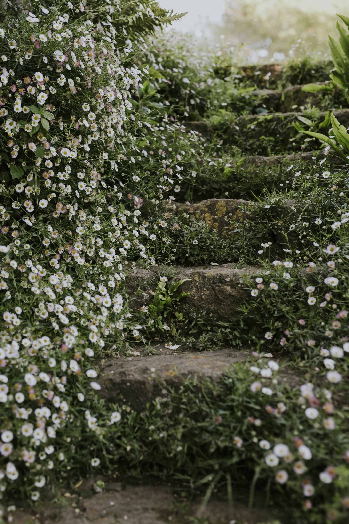 Secret Garden Enchanting Oasis of Hidden Serenity in the Heart of the City