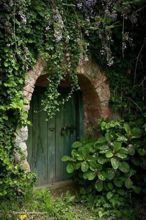 Secret Garden Enchanting Sanctuary in the Heart of Nature