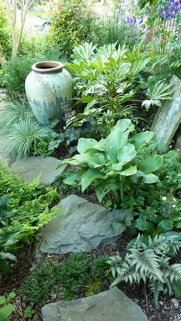 Shade Garden Creating a Lush and Serene Haven in Your Garden for Plants that Thrive in Shaded Areas