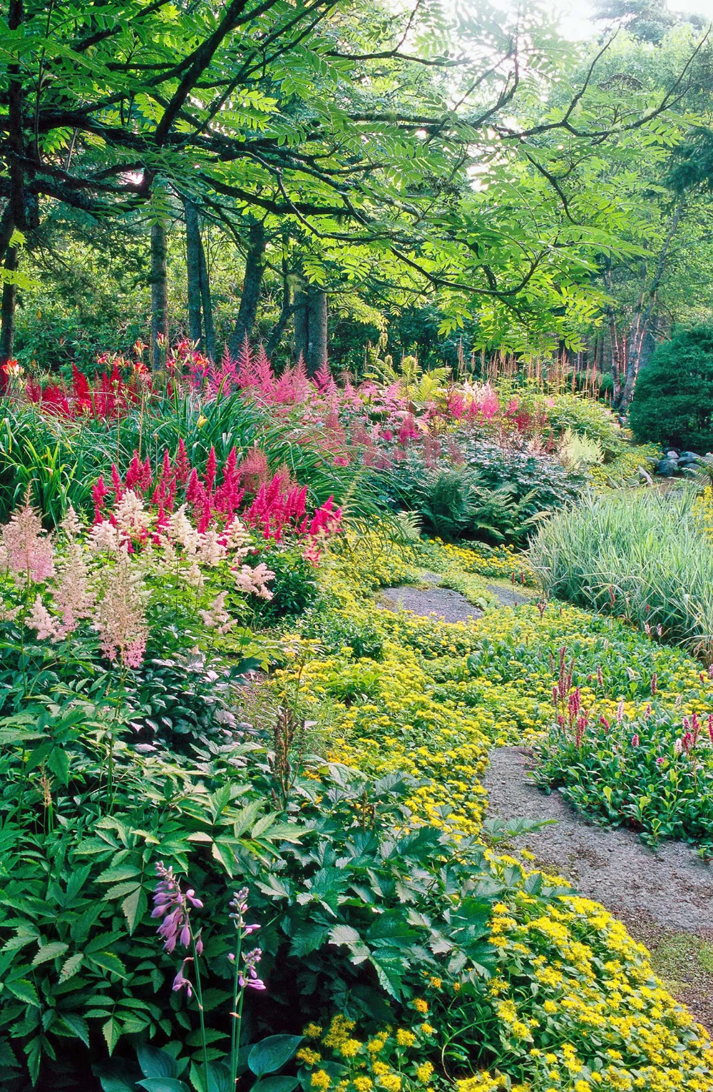 Shade Garden Design Ideas for a Cool and Calming Retreat