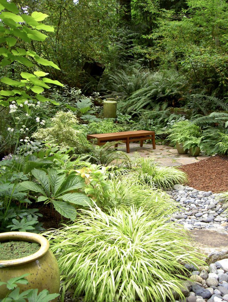 Shade Garden Discover the Best Plants for Shady Areas in Your Yard