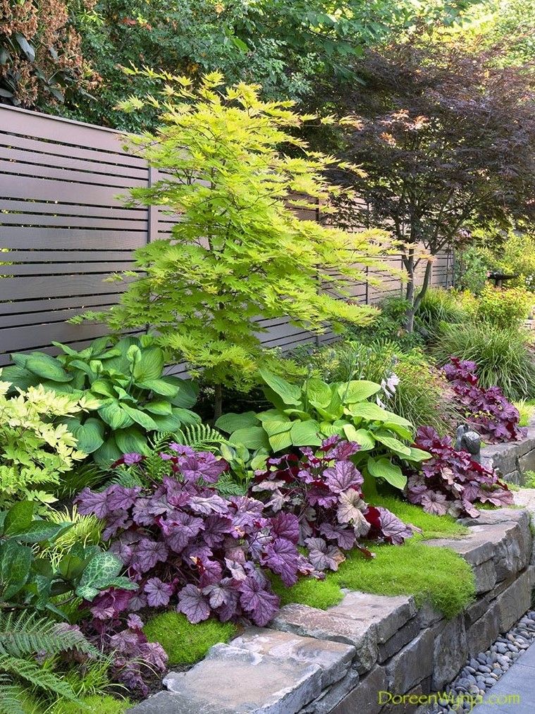 Shade Garden Growing Plants in Low Light Conditions Can Be Easy and Rewarding