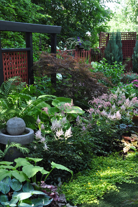 Shade Garden Secrets: How to Design a Lush and Vibrant Outdoor Oasis