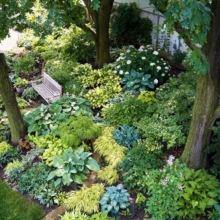 Shade Garden Tips and Ideas for a Lush Oasis