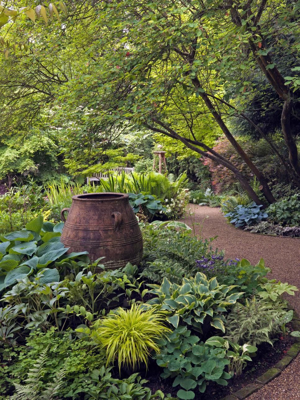 Shade Garden Tips for Creating a Lush Garden in Shady Areas