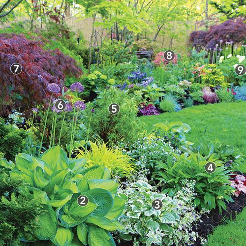 Shade Garden Tips for a Flourishing Outdoor Oasis