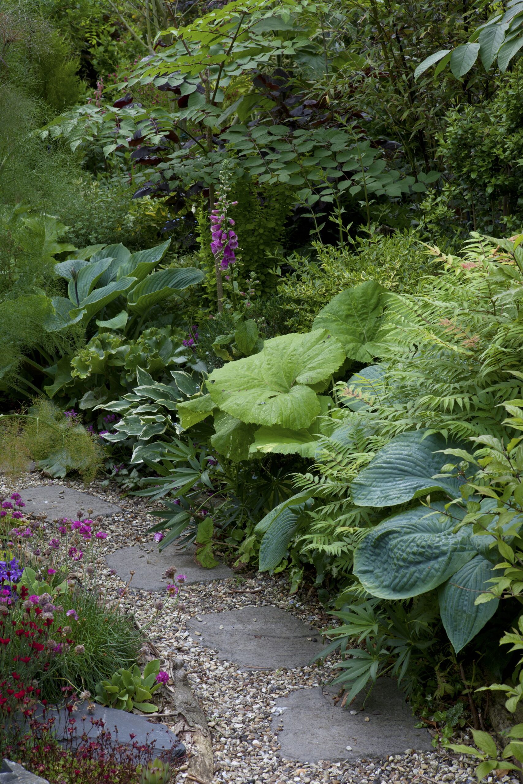 Shade Plants Best Options for Gardens with Low Light Areas