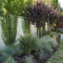 Simple Backyard Landscaping Fence