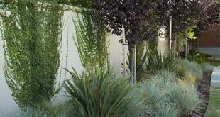 Simple Backyard Landscaping Fence