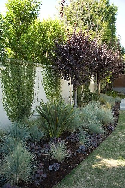 Simple Backyard Landscaping Fence Create an Easy and Affordable Backyard Border for Your Outdoor Space