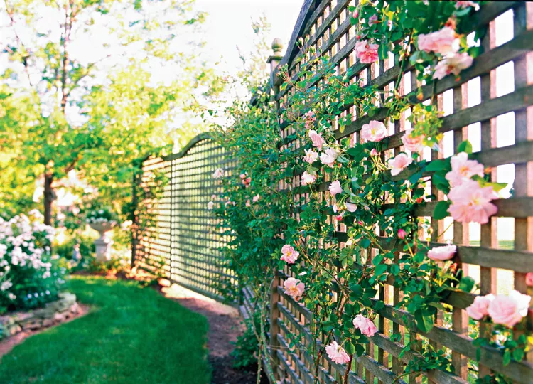 Simple Backyard Landscaping Fence