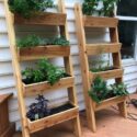 Small Garden Ideas