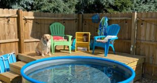 Stock Tank Pool Ideas Backyards