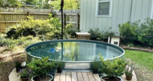 Stock Tank Pool Ideas Backyards