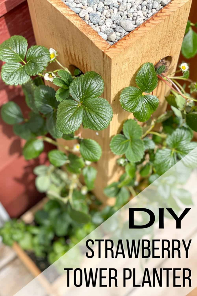 Strawberry Planter Ideas