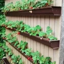 Strawberry Planter Ideas