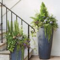 Tall Planter Ideas