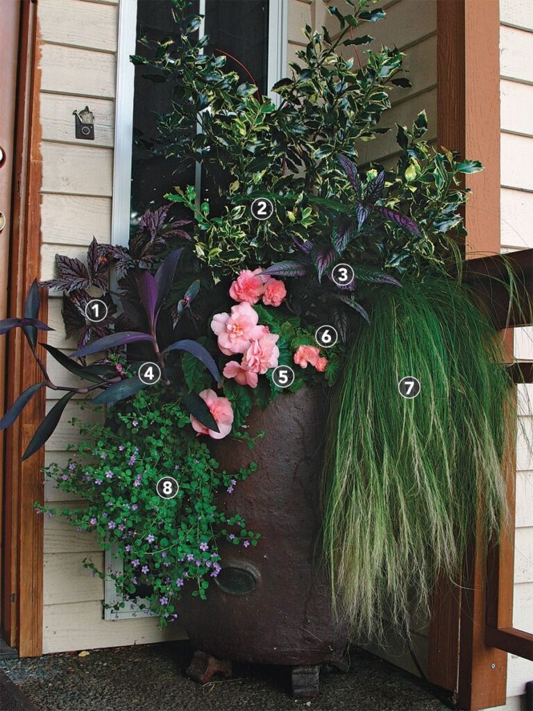 Tall Planter Ideas