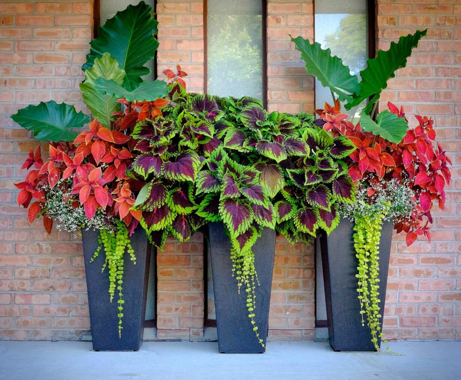 Tall Planter Ideas Creative Ways to Display Your Plants in Taller Containers