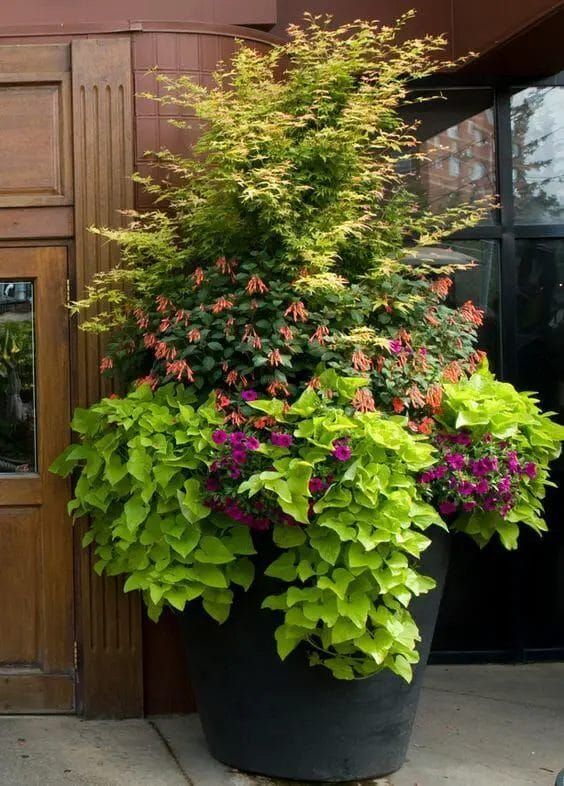 Tall Planter Ideas Creative Ways to Elevate Your Garden with Taller Plant Containers