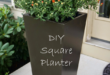 Tall Planter Ideas