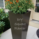 Tall Planter Ideas