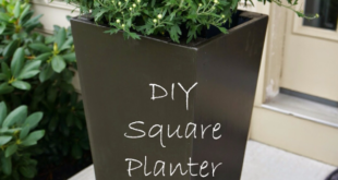 Tall Planter Ideas