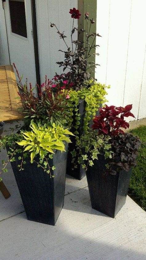 Tall Planter Ideas