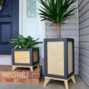 Tall Planter Ideas