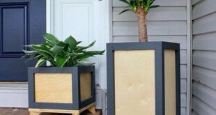 Tall Planter Ideas