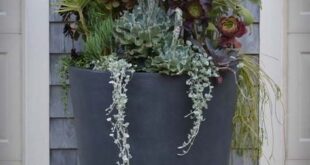 Tall Planter Ideas