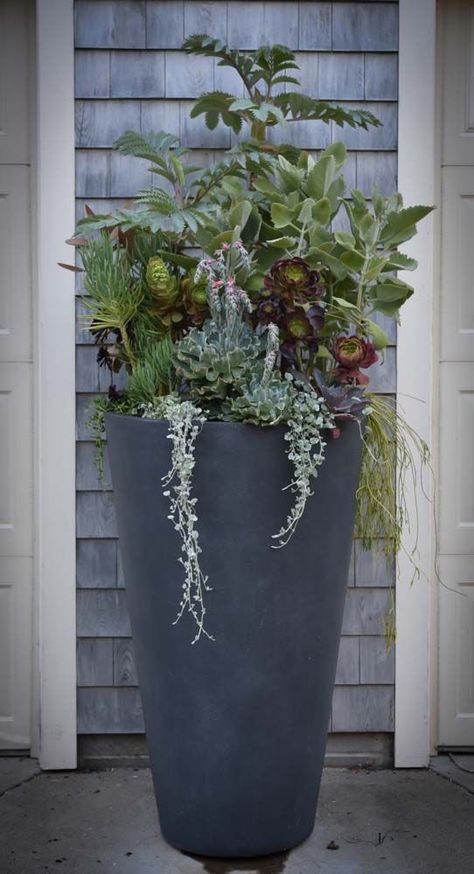 Tall Planter Ideas Unique Ways to Showcase Your Plants with Tall Planters