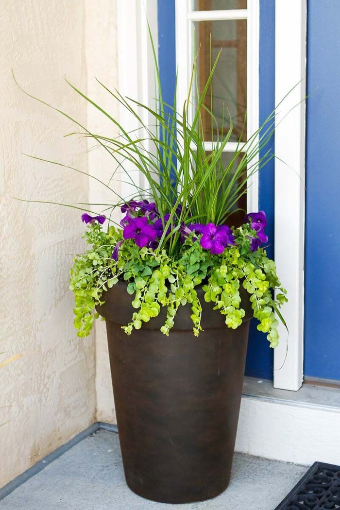Tall Planters Front Door Adds Elegance and Height to Your Entryway