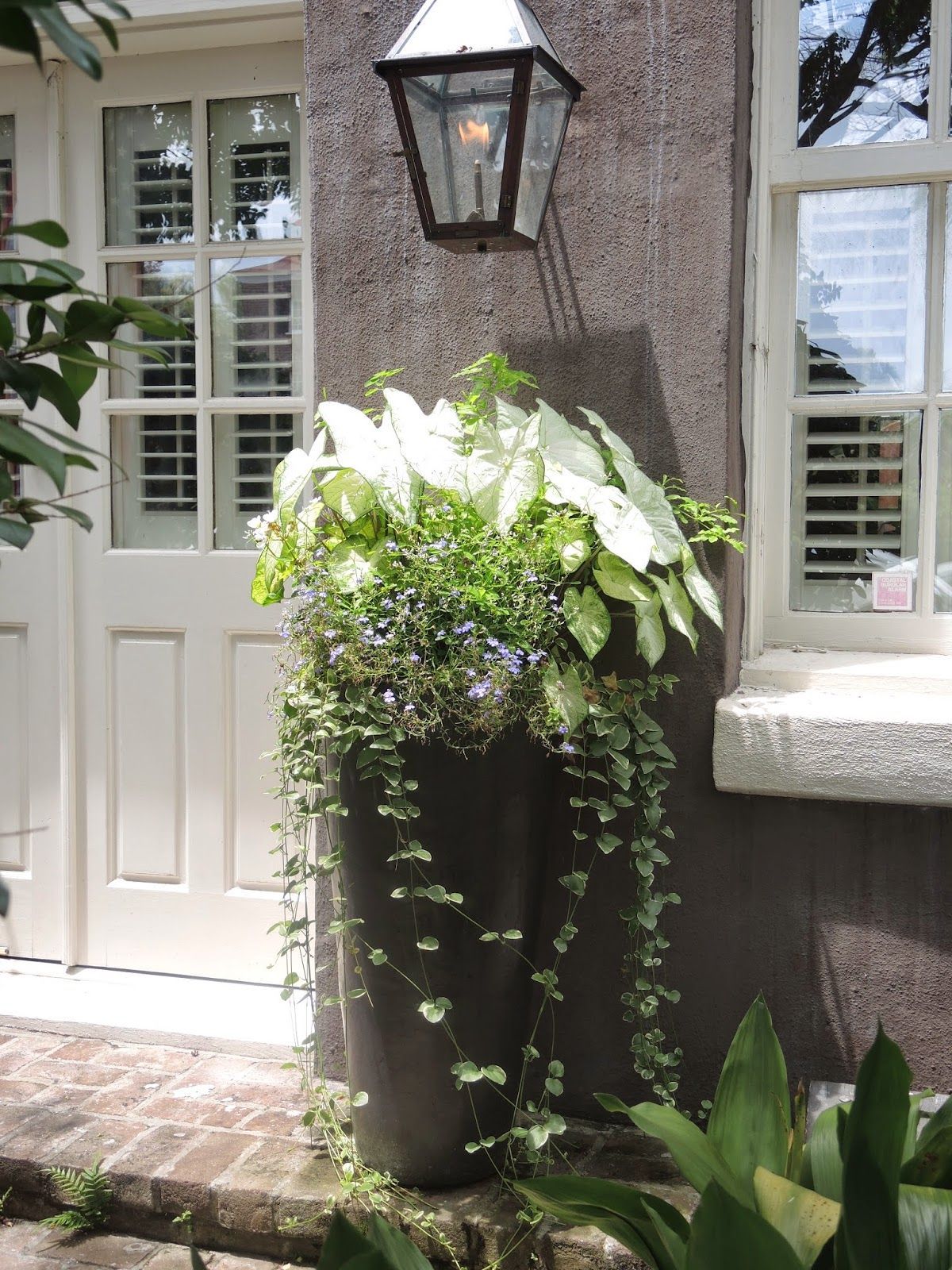 Tall Planters Front Door Elevate Your Curb Appeal with Stylish Entrance Planters