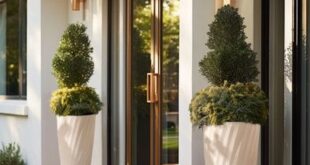 Tall Planters Front Door